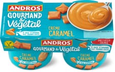 Andros Vegetal Delice Caramel