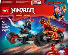 LEGO NINJAGO 71838
