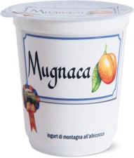 Iogurt Albicocc