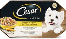 Recettes de Campagne en sauce