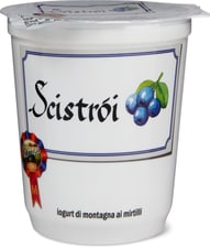 Yogurt Scistroi