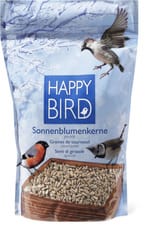 Semi di girasole sgusciati