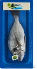 Bio Dorade