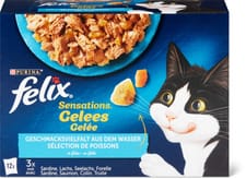 Gelée poisson