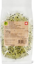 Migros Bio oignons pousses