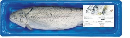 M-Classic Forelle weiss ganz