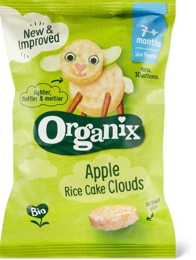 Bunalun Organic Apple Mini Rice Cakes | Evergreen – Evergreen Healthfoods