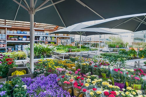 Do It Garden Reinach Adresse Kontakt Offnungszeiten
