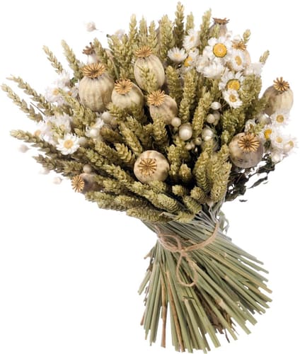 Anjel Trockenblumen in Kartonbox Weiss/Grün Trockenblumen kaufen bei