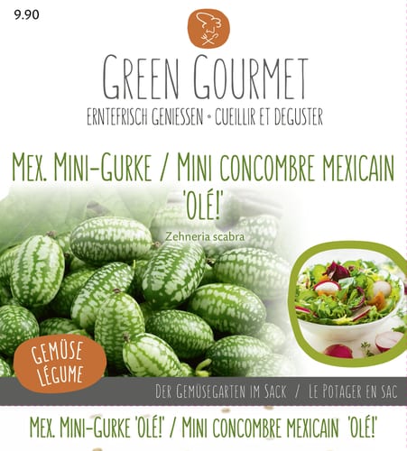 Mini concombre mexicain 'Olé!' - Zehneria scabra
