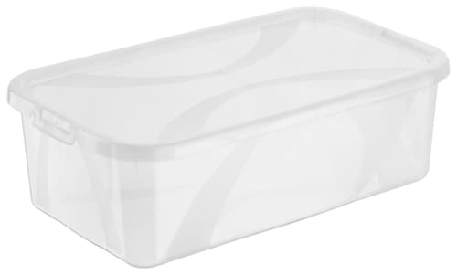 Rotho Arco Aufbewahrungsbox 2l mit Deckel, Kunststoff (PP) BPA-frei,  transparent Aufbewahrungsbox - kaufen bei Do it + Garden Migros