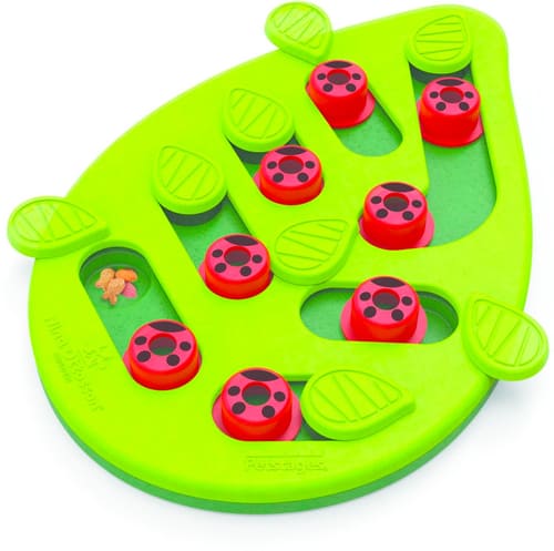 https://image.migros.ch/fm-lg/dc0c618fff8f3d28057f26db97759f2443c9f05a/petstage-cat-puzzle-play-buggin-out-katzenspielzeug.jpg