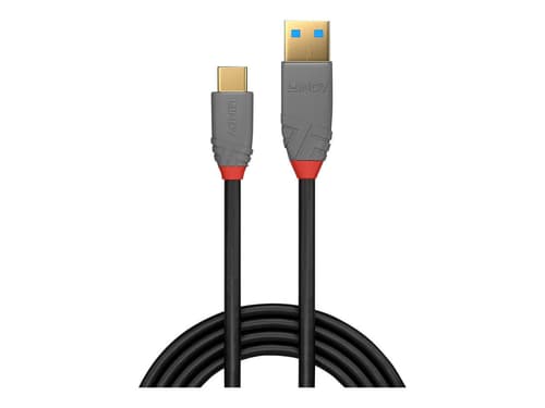 3m Lindy Rallonge DisplayPort