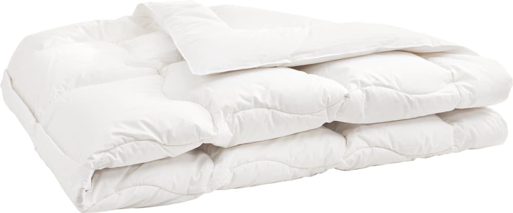 SANADAUN warm Daunen/Gänsedaunen-Duvet SANADAUN warm Daunen/Gänsedaunen-Duvet 451779812510 Farbe Weiss Grösse B: 200.0 cm x T: 210.0 cm Bild Nr. 1