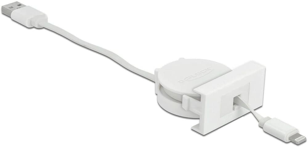 Easy 45 Module USB 2.0 Câble déroulant USB A - Lightning 0.5 m Câble USB DeLock 785300194915 Photo no. 1