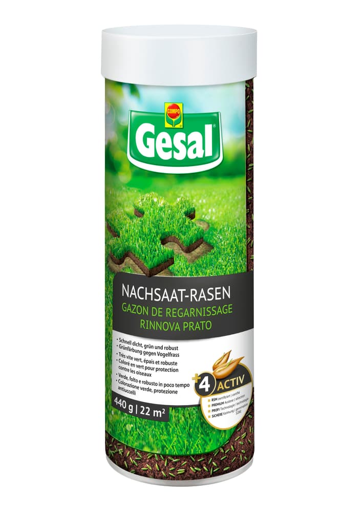 Compo Gesal Nachsaat-Rasen, 440 G Rasensamen - Kaufen Bei Do It + Garden