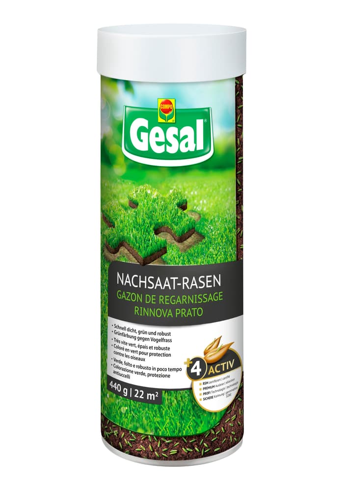 Nachsaat-Rasen, 440 g Rasensamen Compo Gesal 659294200000 Bild Nr. 1