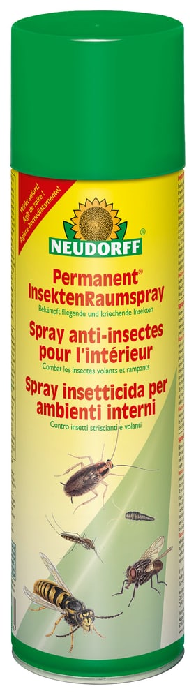 Spray anti-insectes pour l’intérieur Insecticide Neudorff 658536000000 Photo no. 1