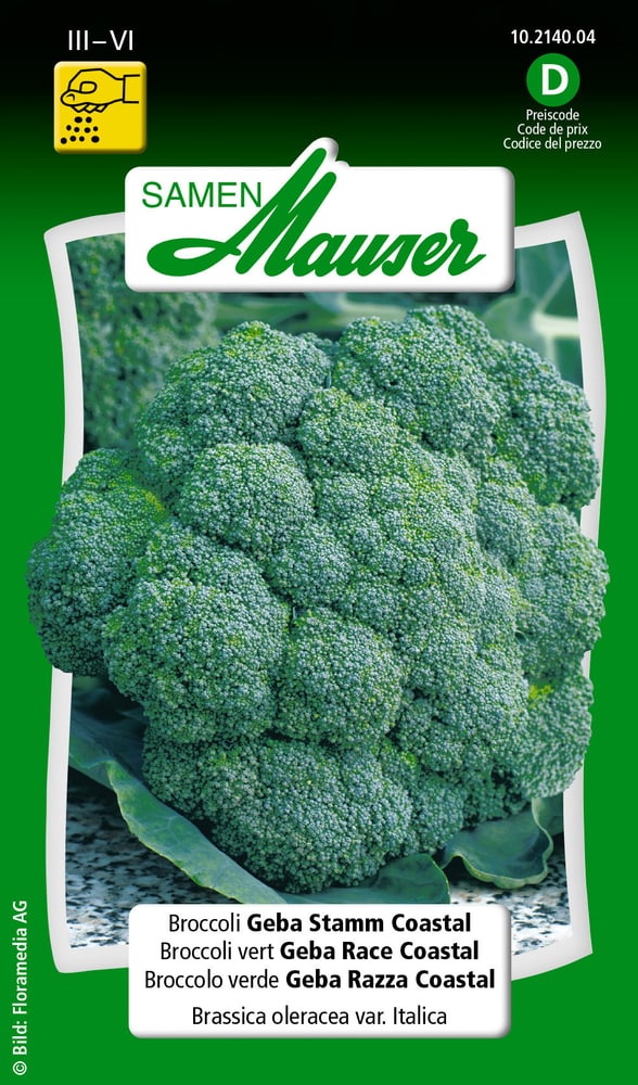 Broccolo verde Geba Razza Coastal Sementi di verdura Samen Mauser 650109201000 Contenuto 1 g (ca. 60 piante o 10 m²) N. figura 1