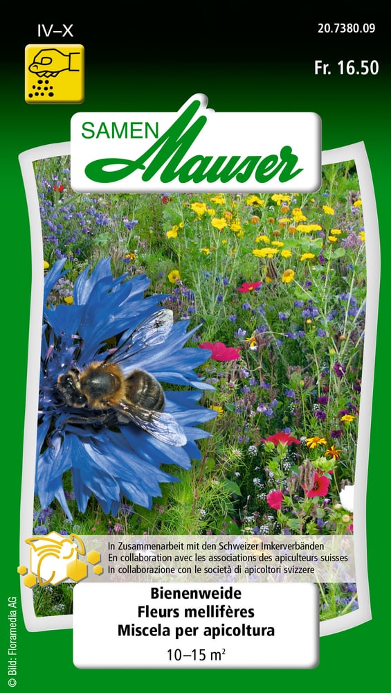 Fleurs mellifères Semences de fleurs Samen Mauser 650118404000 Contenu 30 g (env.18-24 m² )  Photo no. 1