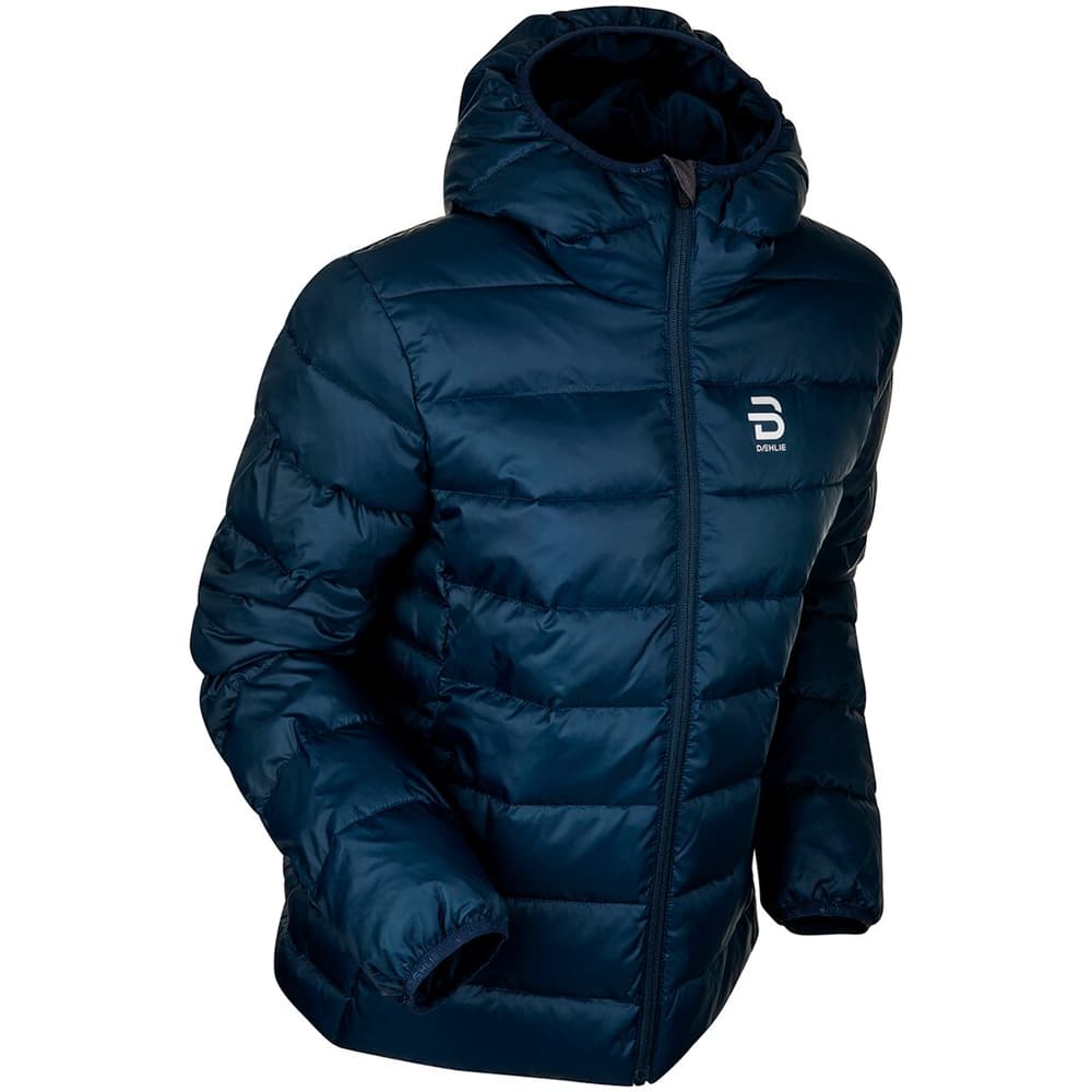 W Jacket Frost Veste de ski de fond Daehlie 472606600622 Taille XL Couleur bleu foncé Photo no. 1