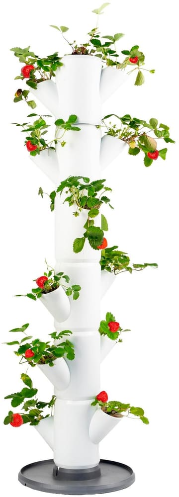 Pot de culture SISSI STRAWBERRY Classic, blanc Jardins à la verticale Gusta Garden 785300186193 Photo no. 1