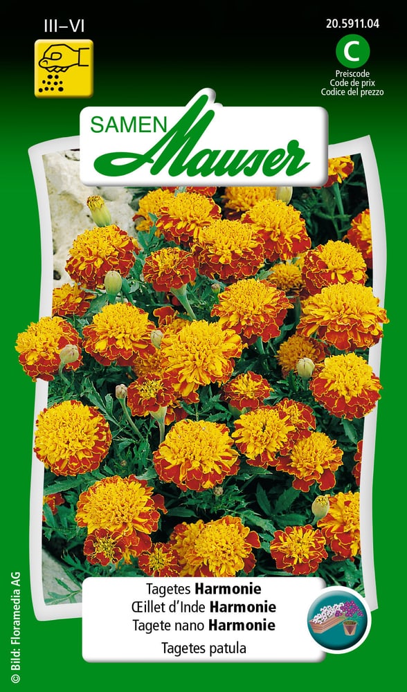 Tagete nano Harmonie Sementi di fiori Samen Mauser 650107505000 Contenuto 1 g (ca. 80 piante o 5 m²) N. figura 1
