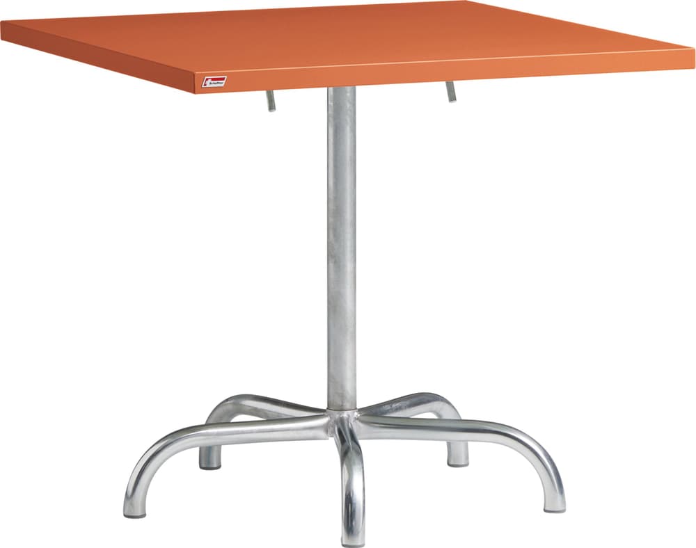 Schaffner SÄNTIS Tavolo pieghevole SÄNTIS Tavolo pieghevole Schaffner 408025100079 Dimensioni L: 80.0 cm x P: 80.0 cm x A: 72.0 cm Colore Terracotta N. figura 1