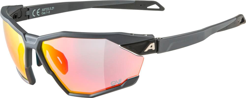 TWIST SIX QV Sportbrille Alpina 468821400083 Grösse Einheitsgrösse Farbe Dunkelgrau Bild-Nr. 1