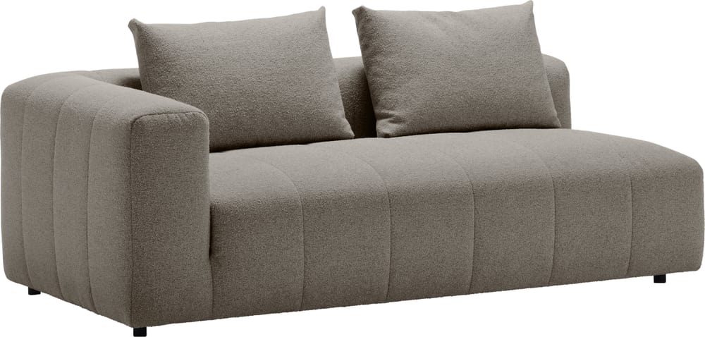 RAYAS 2.5er-Sofa 405885125280 Grösse B: 193.0 cm x T: 105.0 cm x H: 64.5 cm Farbe Grau Bild Nr. 1