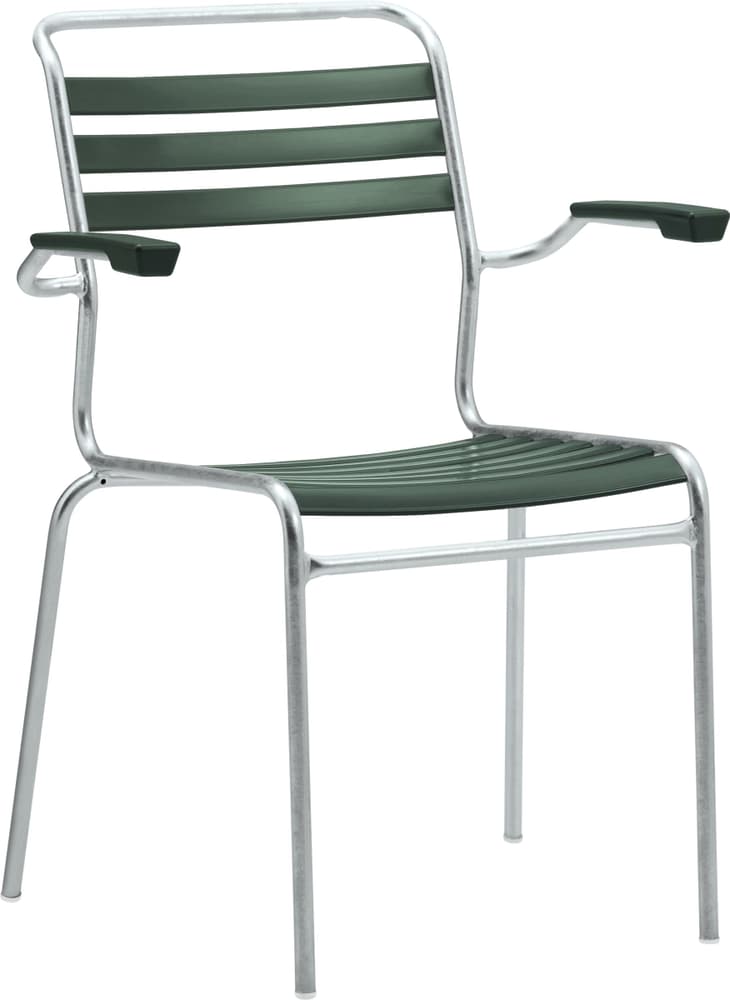 Schaffner SÄNTIS Chaise SÄNTIS Chaise Schaffner 408082000000 Dimensions L: 62.0 cm x P: 60.0 cm x H: 85.0 cm Couleur Vert foncé Photo no. 1
