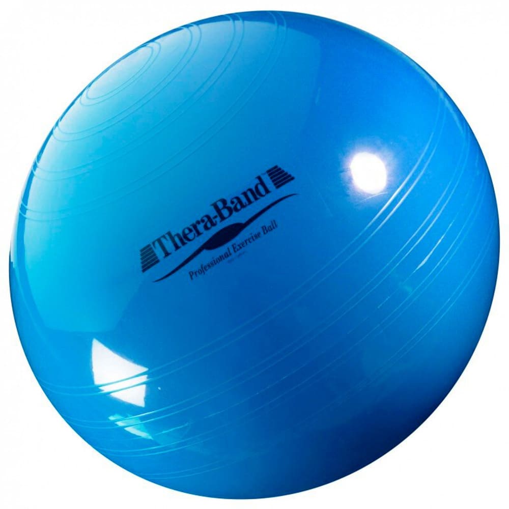Palla da ginnastica ABS Palla da ginnastica TheraBand 467347999940 Taglie onesize Colore blu N. figura 1