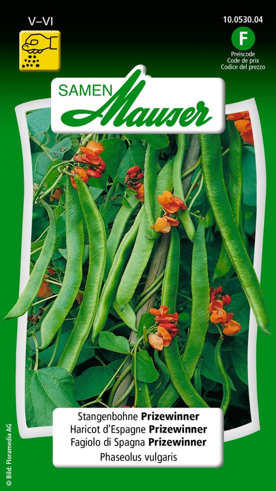 Haricot d'Espagne Prizewinner Rouge Semences de legumes Samen Mauser 650115502000 Contenu 80 g (env. 20 perches ou 8 m²) Photo no. 1