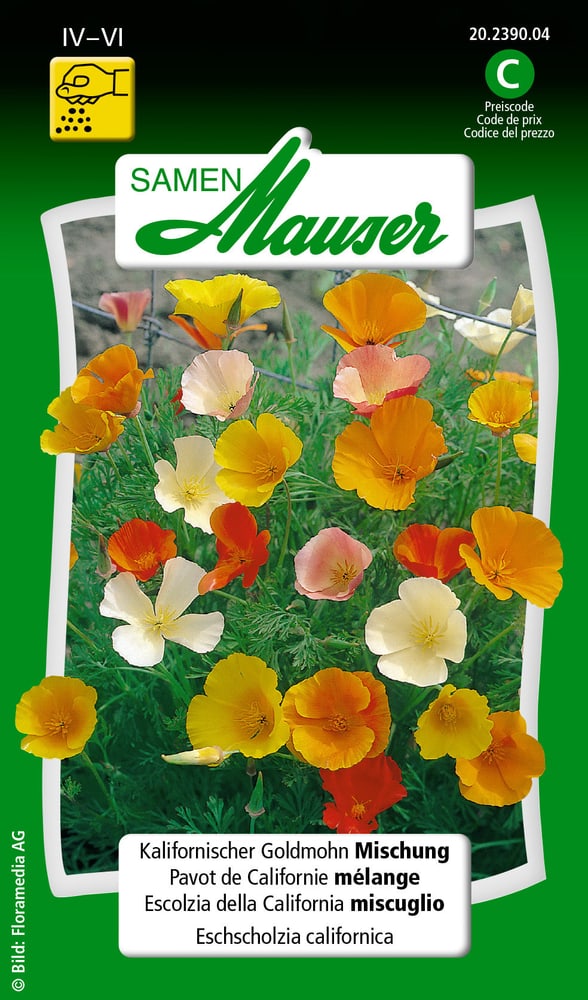 Escolzia di California miscuglio Sementi di fiori Samen Mauser 650103602000 Contenuto 1 g (ca. 80 piante o 4 - 5 m²) N. figura 1