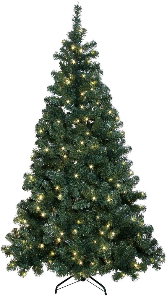 Albero di Natale a LED 2,1m 24V, IP44, cavo di alimentazione 5m Albero di Natale Star Trading 785302444761 N. figura 1