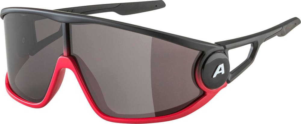 LEGEND Sportbrille Alpina 468822500030 Grösse Einheitsgrösse Farbe rot Bild-Nr. 1