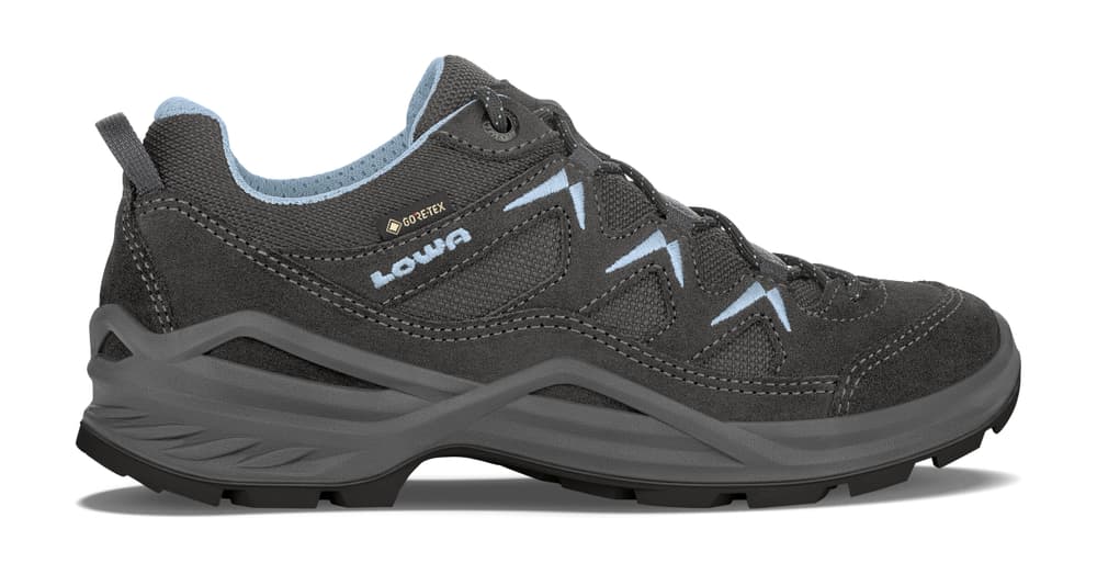Sirkos GTX Lo Chaussures polyvalentes Lowa 461129836580 Taille 36.5 Couleur gris Photo no. 1