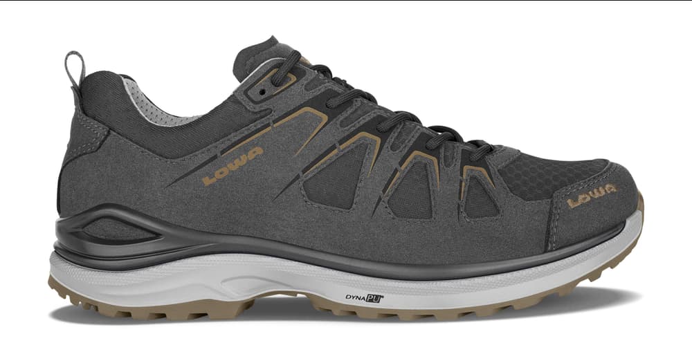 Innox Evo GTX Low Chaussures polyvalentes Lowa 461187447080 Taille 47 Couleur gris Photo no. 1