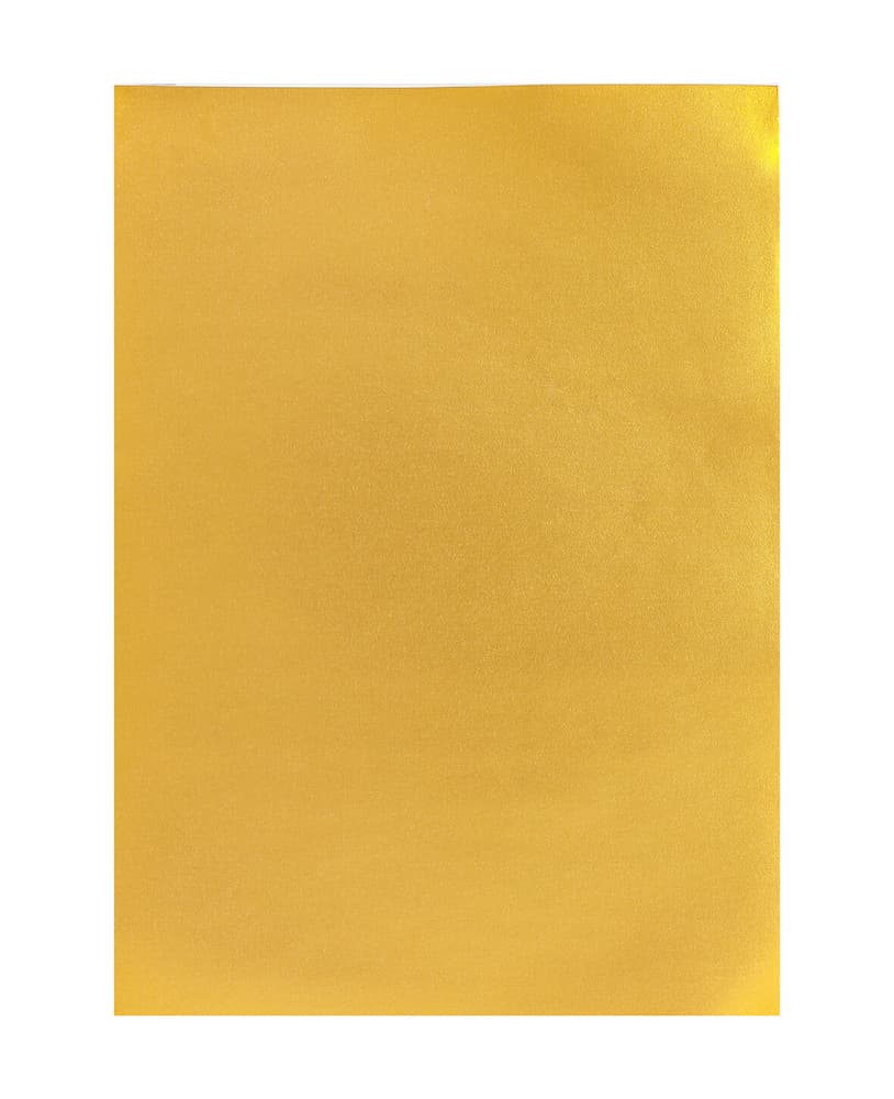 Carta Per Foto 50X70, Oro Cartone fotografico 666541000140 Colore Oro Dimensioni L: 50.0 cm x P: 0.05 cm x A: 70.0 cm N. figura 1