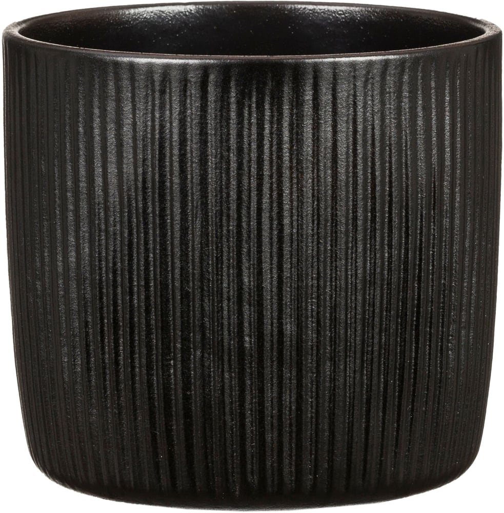 Scheurich Solido Linea Pot - acheter chez Do it + Garden Migros