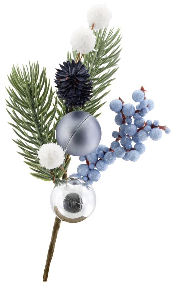 Geroma Branche avec boules, 11x20x11 cm Décoration florale de l'Avent Branche avec boules, 11x20x11 cm Décoration florale de l'Avent Geroma 655189800000 Photo no. 1