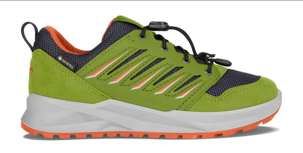 Axos GTX Low Chaussures polyvalentes Lowa 465547434066 Taille 34 Couleur lime Photo no. 1