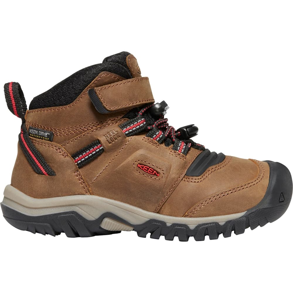 Ridge Flex Mid WP Chaussures de randonnée Keen 465540627570 Taille 27.5 Couleur brun Photo no. 1
