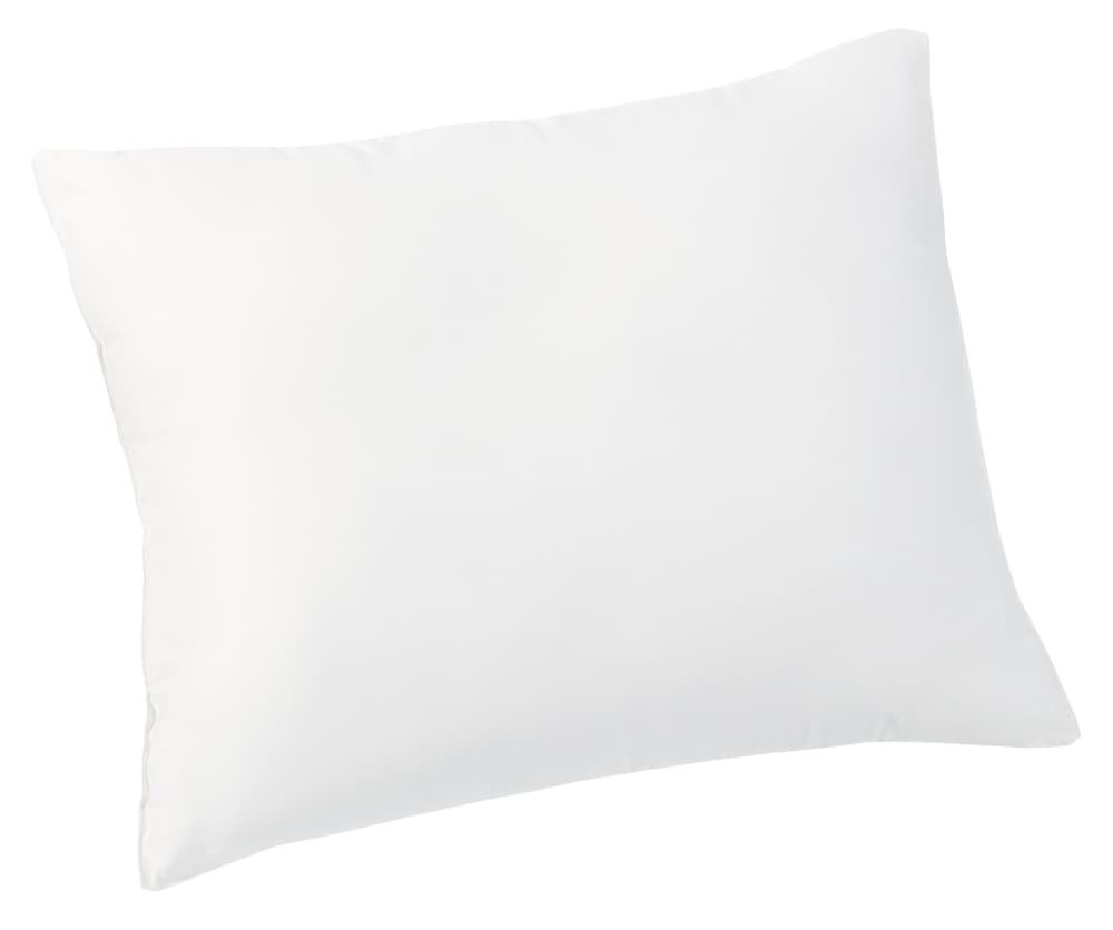 SANAFIBRA Oreiller pour enfants SANAFIBRA Oreiller pour enfants 405071610010 Couleur Blanc Dimensions L: 60.0 cm x P: 40.0 cm Photo no. 1