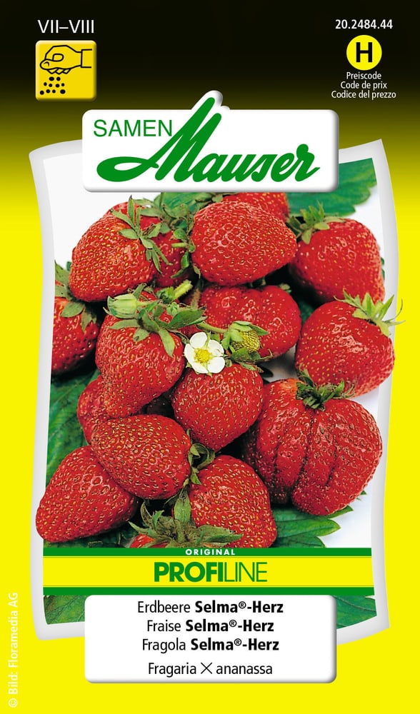 Erdbeere Selma®-Herz Gemüsesamen Samen Mauser 650110401000 Inhalt 0.125 g (ca. 75 Pflanzen oder 3 m² ) Bild Nr. 1