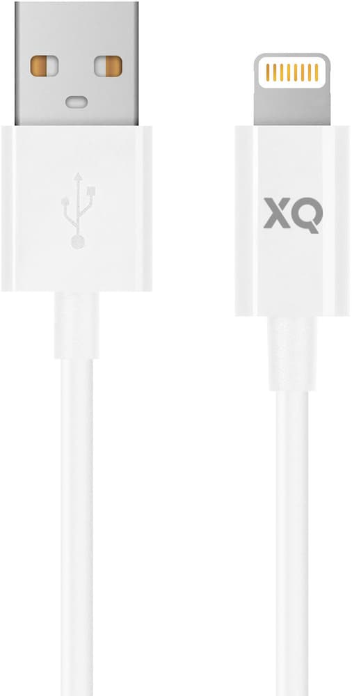 Sync & Charge Cable Lightning to USB A 150cm White Câble de recharge XQISIT 798646600000 Photo no. 1