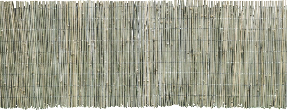 Natte en bambou 300 x 100 cm Tapis de confidentialité Windhager 631127600000 Photo no. 1