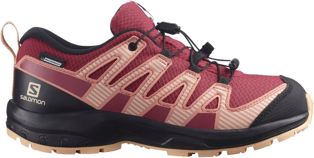 XA PRO V8 WATERPROOF Chaussures polyvalentes Salomon 465557837017 Taille 37 Couleur framboise Photo no. 1