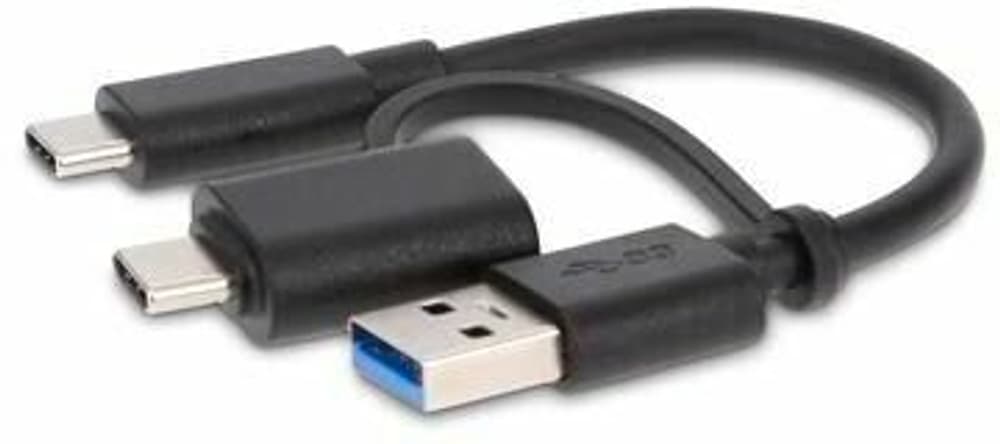 Câble USB 3.1 2-in-1 USB C - USB A/USB C 0.15 m Câble USB LMP 785302405151 Photo no. 1