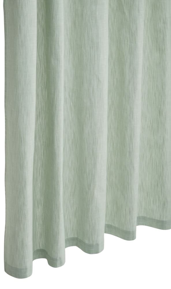 TIAGO Rideau prêt à poser opaque 430263621861 Couleur Vert clair Dimensions L: 150.0 cm x H: 260.0 cm Photo no. 1
